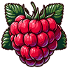 Raspberry