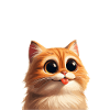 Chat mignon Meme