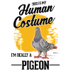 Dove Costume Pigeon Fancier Halloween