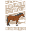Freiberger Pferd Reiterin