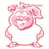 A surprise, chubby round pig
