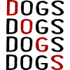 Canine