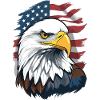 Bald eagle