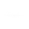 Airplane Sketch Passenger