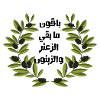 Oil and Olive