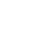 Postman