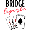 Bridge Expert