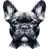 French Bulldog Polygonal