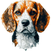 Beagle Polygonal