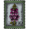 Stamp Foxglove