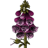 Thimble