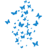 schmetterlinge