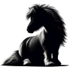 poney Shetland assis
