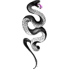 Black Snake