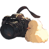 Curious Chick Explores Photography