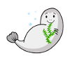 Sacabambaspis Poisson Meme Algues