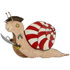 pirate snail, pirate snail, buccaneer