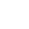 Chicken noodle soup