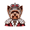 Yorkshire Terrier King