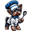 Yorkshire terrier cook