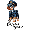 Yorkshire Terrier Pilot