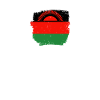 Malawi Vintage Malawian Flag Malawian