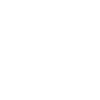 Lion Focus Positivity