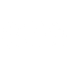 Heraldic X Crest with Lions