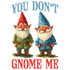 You Don't Gnome Me 12