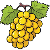 Weintrauben Symbol