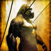Gorilla 03 - K