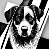 Collie: Cubist Black & White