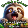 Faultier Wochenende