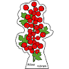 Red currants