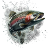 Trout
