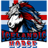 Icelandic Horse 2