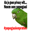 Parrots talk, no privacy