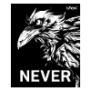 Never, a black raven
