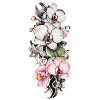 Orchidee rankend