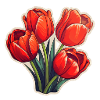 Tulips Four Flowers Red