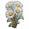 Daisies 4 flowers