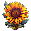 Sunflower single