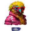 Crazy Bird