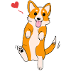 Corgi Love