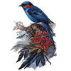 Oiseau