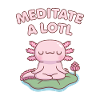 Cute Axolotl Meditate A Lotl