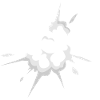 Explosion