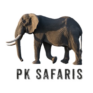 Private Kruger Safaris Elephant Logo real elephant