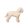 Dog Poodle