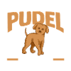 Hund Pudel